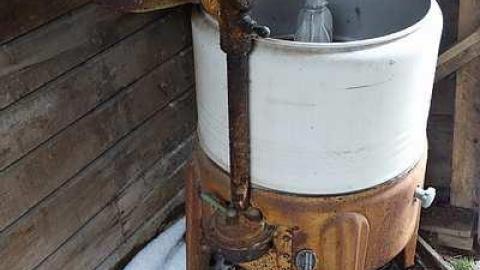 Ed's Taxidermy '17 - DSC06575.jpg