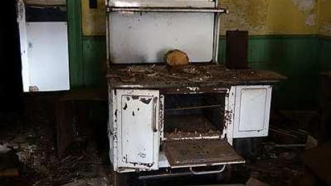 Ed's Taxidermy '17 - DSC06577.jpg