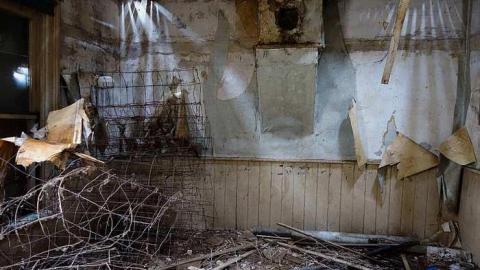 Ed's Taxidermy '17 - DSC06580.jpg