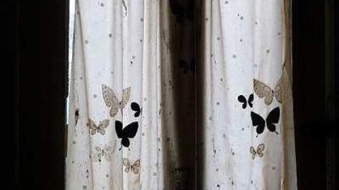 Ed's Taxidermy '17 - DSC06583.jpg