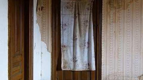 Ed's Taxidermy '17 - DSC06586.jpg