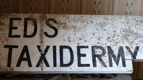 Ed's Taxidermy '17 - DSC06592.jpg