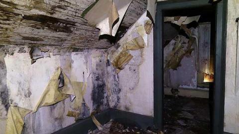 Ed's Taxidermy '17 - DSC06600.jpg