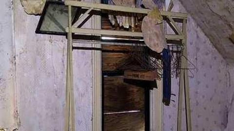 Ed's Taxidermy '17 - DSC06602.jpg