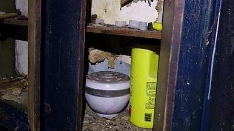 Ed's Taxidermy '17 - DSC06605.jpg