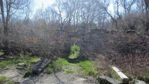 Photo from Spring Visit