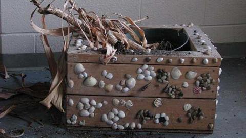 School's Out! - Saint-Anthony-Daniel-School78.jpg