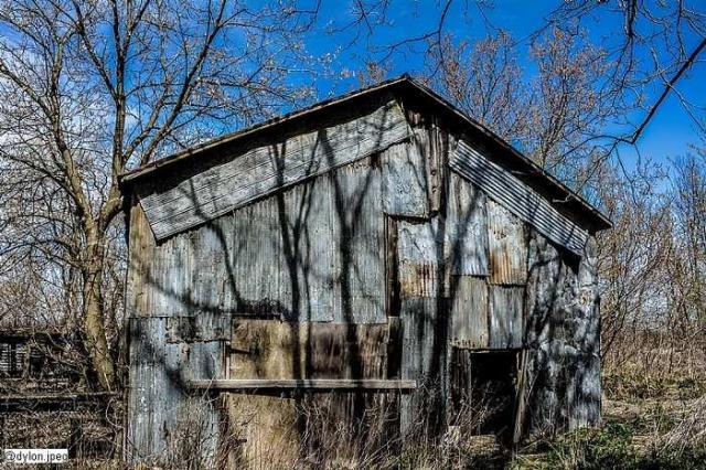 Van Dyk Farms photo 2