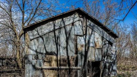 Elect Van Dyk - h-0-0.jpg