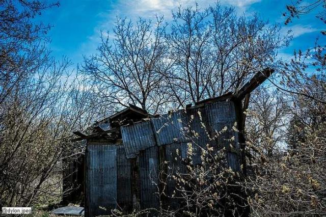 Van Dyk Farms photo 5