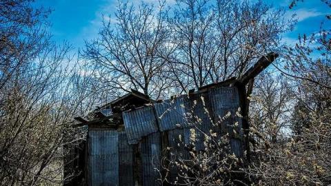 Elect Van Dyk - m-0-4.jpg