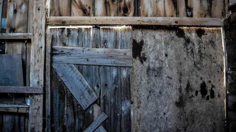 Elect Van Dyk - p-0-5.jpg