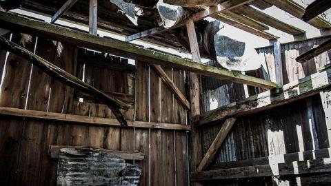 Elect Van Dyk - q-0-7.jpg