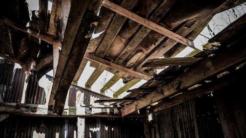 Elect Van Dyk - s-0-8.jpg