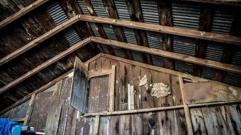 Elect Van Dyk - p-0-9.jpg