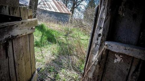 Elect Van Dyk - l-0-10.jpg