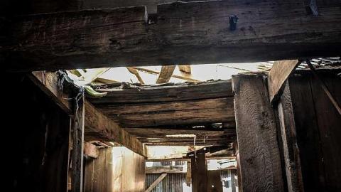 Elect Van Dyk - c-0-11.jpg