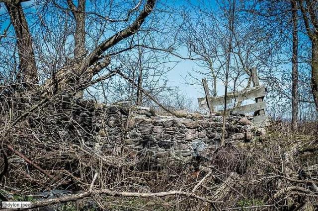 Van Dyk Farms - Clarington, Ontario