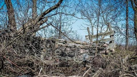 Elect Van Dyk cover photo