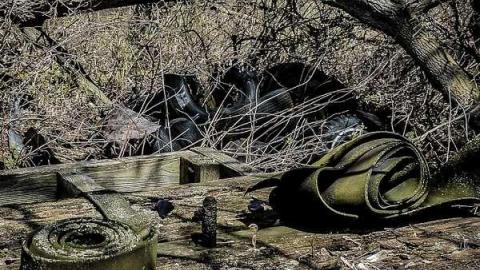 Elect Van Dyk - g-0-16.jpg