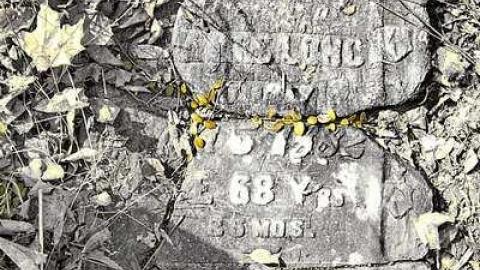 Photo from  Weep Not For Me