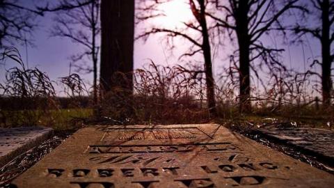 Photo from A Short Stop