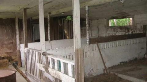 August 2011 - Old-Horse-Stable-Tiny-Beaches6.jpg