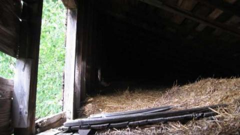 August 2011 - Old-Horse-Stable-Tiny-Beaches13.jpg