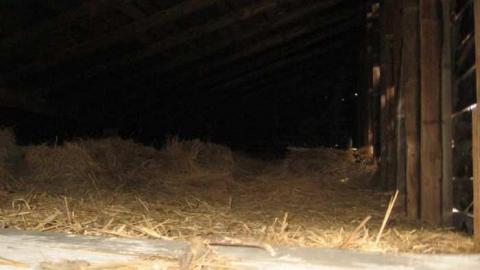 Photo from August 2011