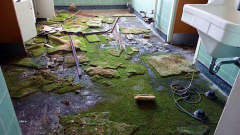 Photo from Two Trips '17