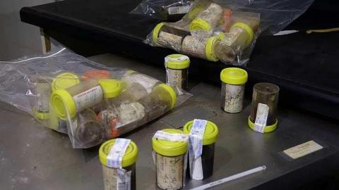 Photo from Two Trips '17