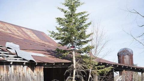 Balaclava Apr 17 - Balaclava-(ghost-town)102.jpg