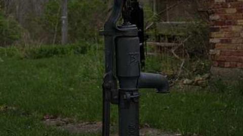 Photo from Napier April 2017