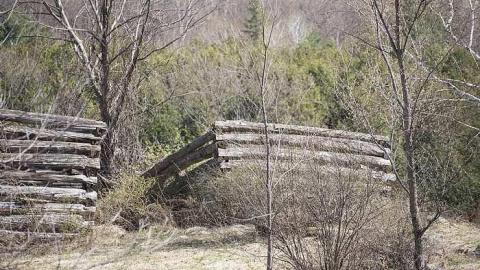 Apr 2017 - Newfoundout-(ghost-town)41.jpg