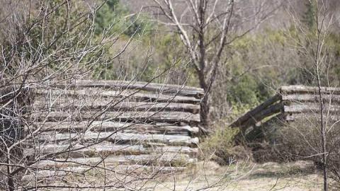 Apr 2017 - Newfoundout-(ghost-town)42.jpg