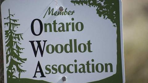 Apr 2017 - Newfoundout-(ghost-town)43.jpg