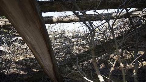 Apr 2017 - Newfoundout-(ghost-town)48.jpg