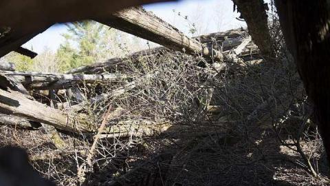 Apr 2017 - Newfoundout-(ghost-town)49.jpg