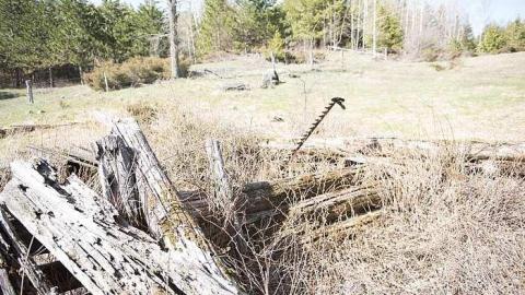 Apr 2017 - Newfoundout-(ghost-town)57.jpg