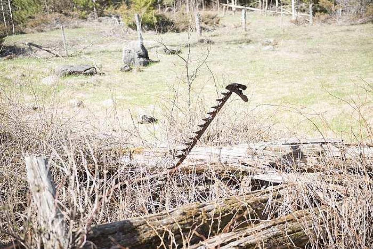 Apr 2017 - Newfoundout-(ghost-town)50.jpg