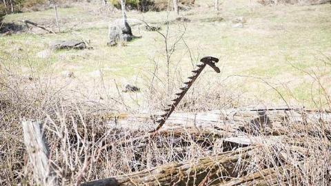 Apr 2017 - Newfoundout-(ghost-town)50.jpg