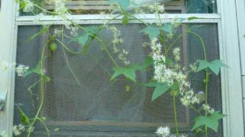 404 run over - 404-in-the-road7.jpg