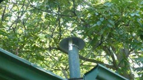 Photo from 404 run over