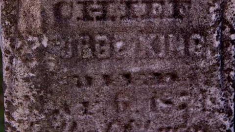 New Credit Band - New-Credit-Pioneer-Cemetery4.jpg