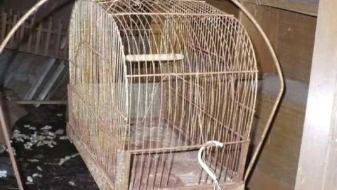 Shop & Barn - Fireplace-Villa44.jpg