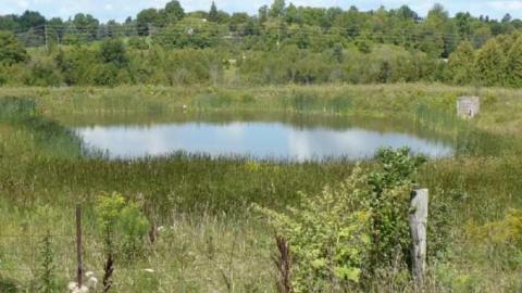 Shop & Barn - Fireplace-Villa47.jpg