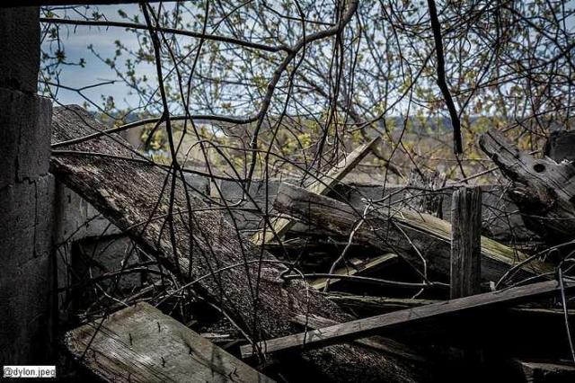 Highway Farms - Clarington, Ontario