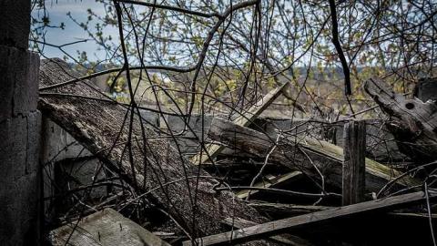 Photo from Highway Farms