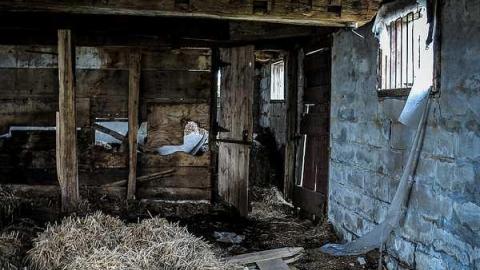 Highway Farms - t-0-17.jpg