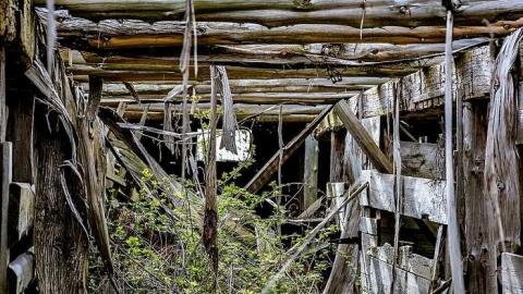 Highway Farms - w-0.jpg